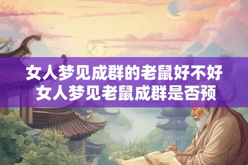 女人梦见成群的老鼠好不好 女人梦见老鼠成群是否预示什么 女人梦见成群的老鼠好不好 女人梦见老鼠成群是否预示什么