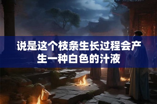 说是这个枝条生长过程会产生一种白色的汁液