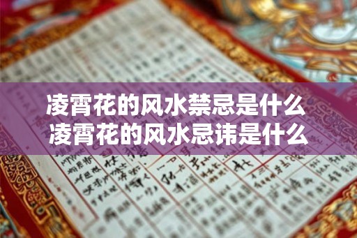 凌霄花的风水禁忌是什么 凌霄花的风水忌讳是什么