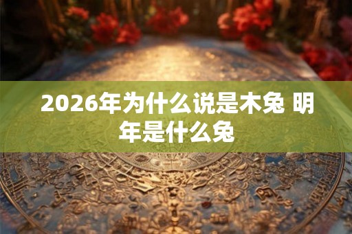 2026年为什么说是木兔 明年是什么兔