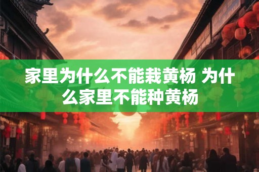 家里为什么不能栽黄杨 为什么家里不能种黄杨