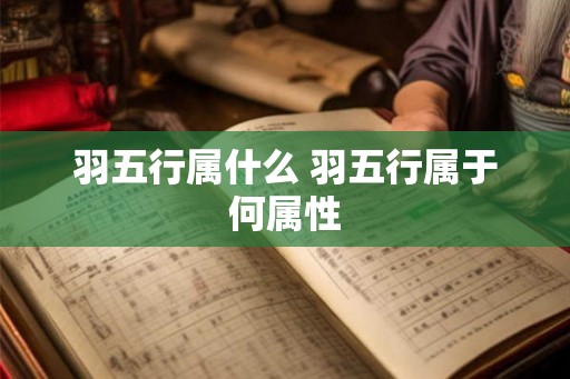 羽五行属什么 羽五行属于何属性 羽五行属什么 羽五行属于何属性