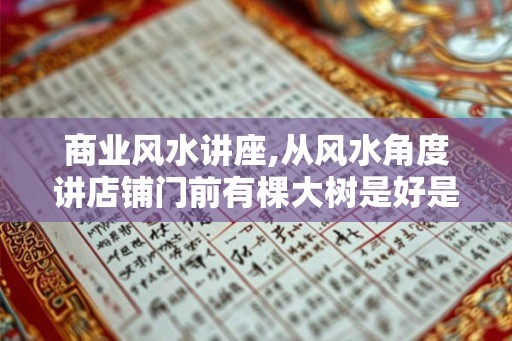 商业风水讲座,从风水角度讲店铺门前有棵大树是好是坏