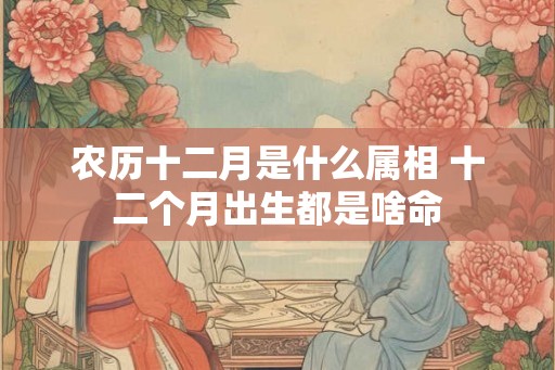 农历十二月是什么属相 十二个月出生都是啥命