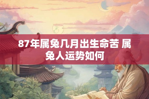 87年属兔几月出生命苦 属兔人运势如何