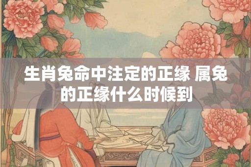 生肖兔命中注定的正缘 属兔的正缘什么时候到