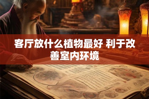 客厅放什么植物最好 利于改善室内环境