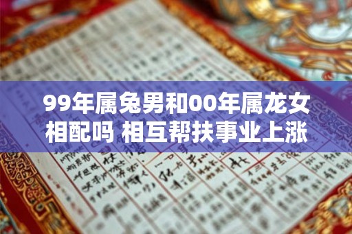 99年属兔男和00年属龙女相配吗 相互帮扶事业上涨