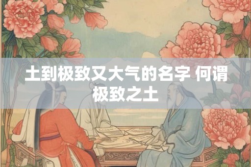 土到极致又大气的名字 何谓极致之土 土到极致又大气的名字 何谓极致之土