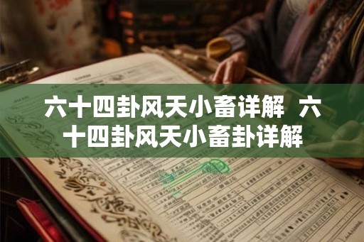 六十四卦风天小畜详解  六十四卦风天小畜卦详解