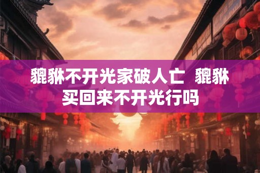 貔貅不开光家破人亡  貔貅买回来不开光行吗