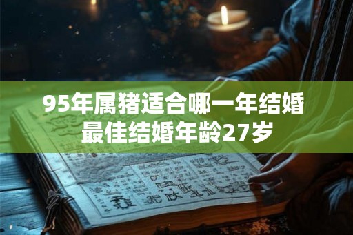 95年属猪适合哪一年结婚 最佳结婚年龄27岁