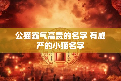 公猫霸气高贵的名字 有威严的小猫名字