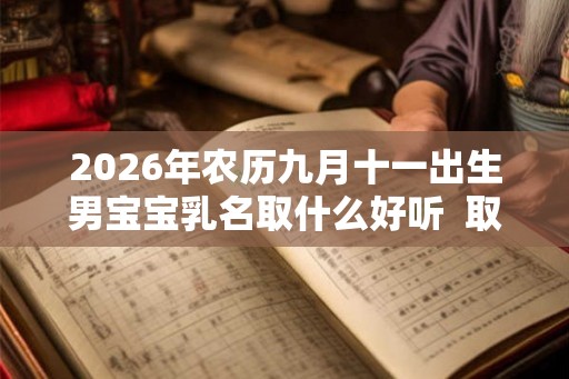 2026年农历九月十一出生男宝宝乳名取什么好听  取名小技巧