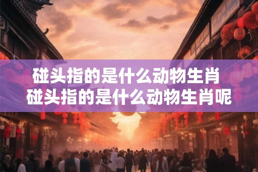 碰头指的是什么动物生肖 碰头指的是什么动物生肖呢