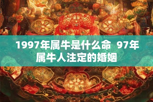 1997年属牛是什么命 97年属牛人注定的婚姻 1997年属牛是什么命 97年属牛人注定的婚姻