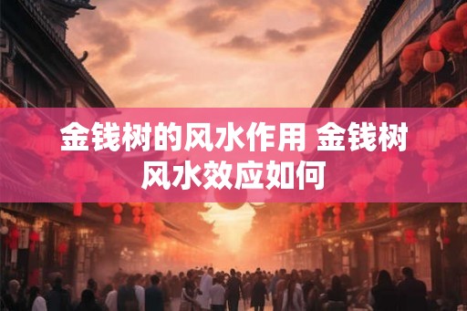 金钱树的风水作用 金钱树风水效应如何