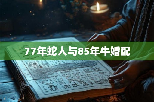 77年蛇人与85年牛婚配