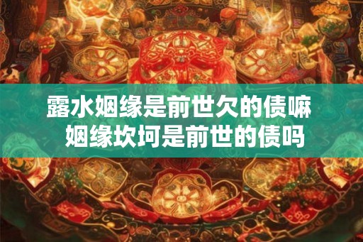 露水姻缘是前世欠的债嘛  姻缘坎坷是前世的债吗