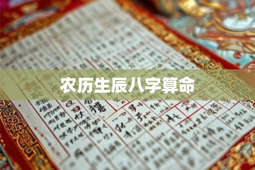 农历生辰八字算命
