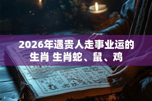 2026年遇贵人走事业运的生肖 生肖蛇、鼠、鸡