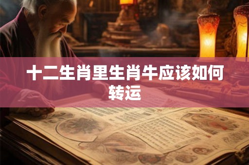 十二生肖里生肖牛应该如何转运