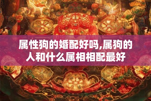 属性狗的婚配好吗,属狗的人和什么属相相配最好