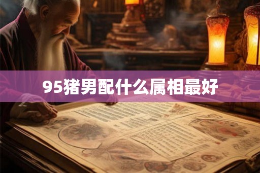 95猪男配什么属相最好
