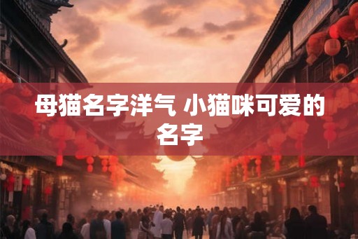 母猫名字洋气 小猫咪可爱的名字