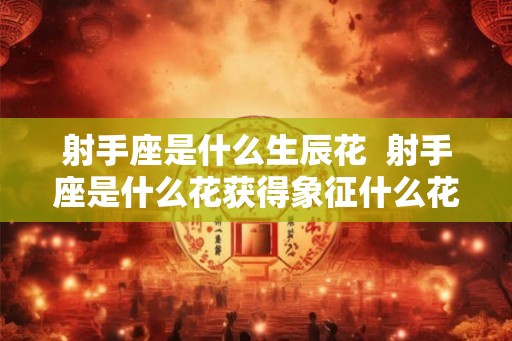射手座是什么生辰花 射手座是什么花获得象征什么花 射手座是什么生辰花 射手座是什么花获得象征什么花