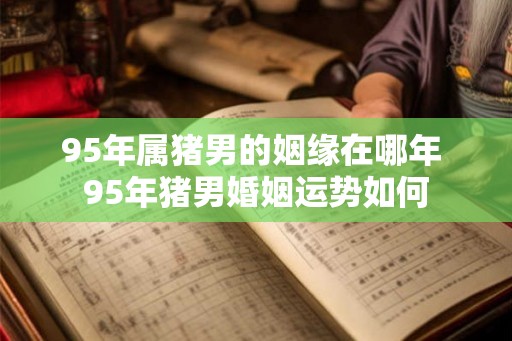 95年属猪男的姻缘在哪年 95年猪男婚姻运势如何