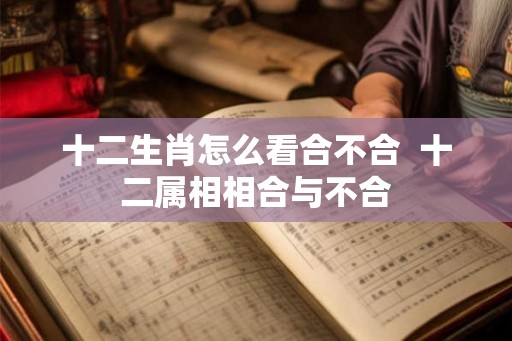 十二生肖怎么看合不合  十二属相相合与不合