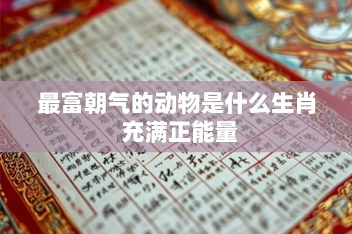 最富朝气的动物是什么生肖 充满正能量