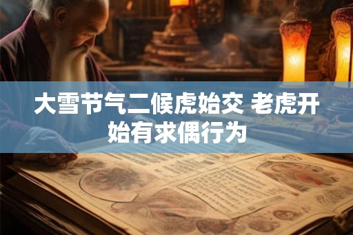 大雪节气二候虎始交 老虎开始有求偶行为