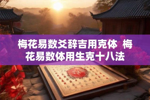 梅花易数爻辞吉用克体  梅花易数体用生克十八法