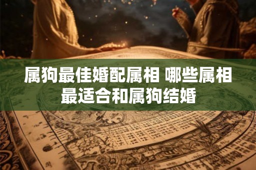 属狗最佳婚配属相 哪些属相最适合和属狗结婚