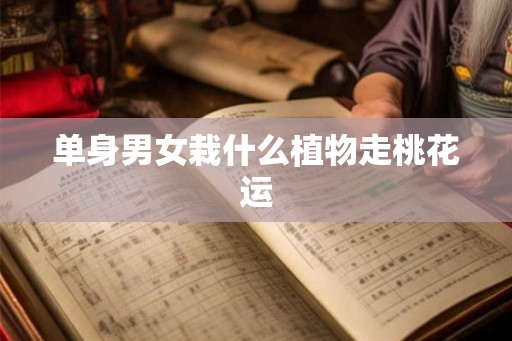 单身男女栽什么植物走桃花运 单身男女栽什么植物走桃花运