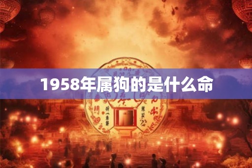 1958年属狗的是什么命