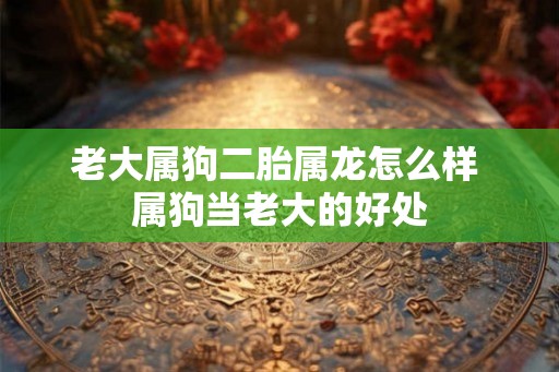 老大属狗二胎属龙怎么样 属狗当老大的好处