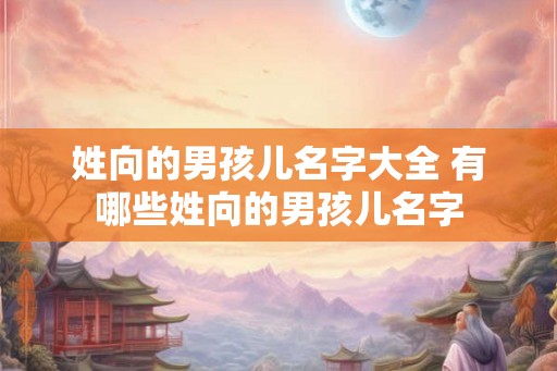 姓向的男孩儿名字大全 有哪些姓向的男孩儿名字
