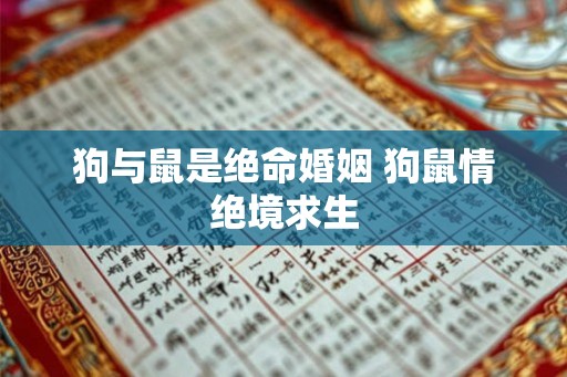 狗与鼠是绝命婚姻 狗鼠情绝境求生