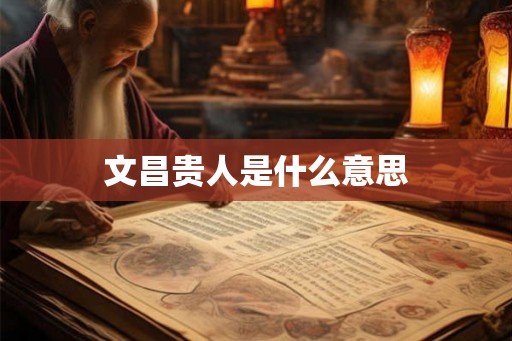 文昌贵人是什么意思