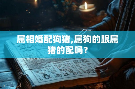 属相婚配狗猪,属狗的跟属猪的配吗？