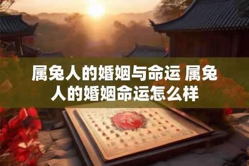 属兔人的婚姻与命运 属兔人的婚姻命运怎么样