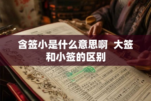 含签小是什么意思啊 大签和小签的区别 含签小是什么意思啊 大签和小签的区别