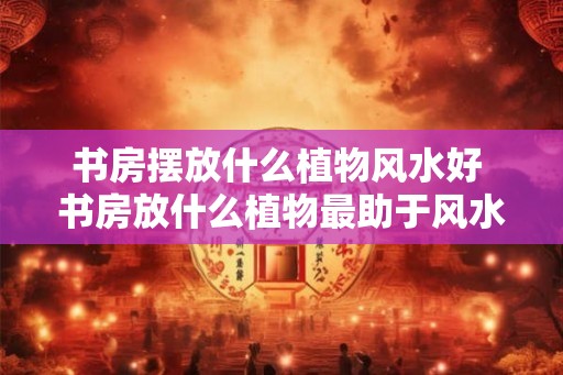 书房摆放什么植物风水好 书房放什么植物最助于风水