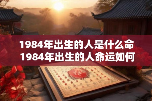 1984年出生的人是什么命 1984年出生的人命运如何