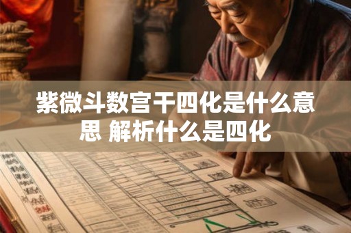 紫微斗数宫干四化是什么意思 解析什么是四化