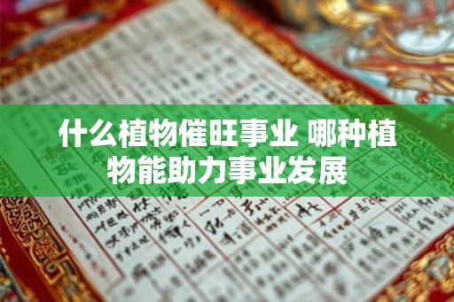 什么植物催旺事业 哪种植物能助力事业发展