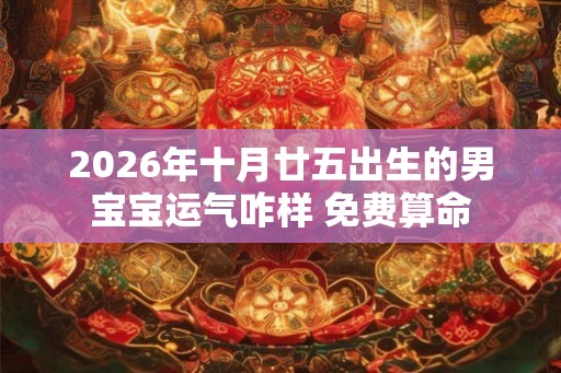 2026年十月廿五出生的男宝宝运气咋样 免费算命
